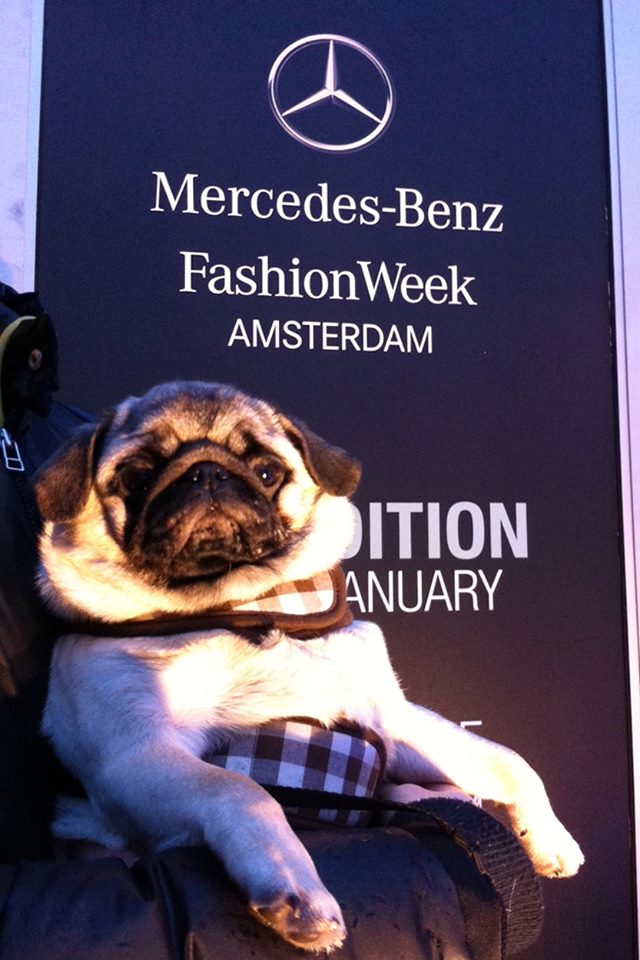 chubster amsterdam fashion week (4)